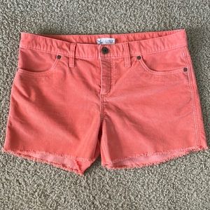 Oahu 4" Short: Terracotta size 6